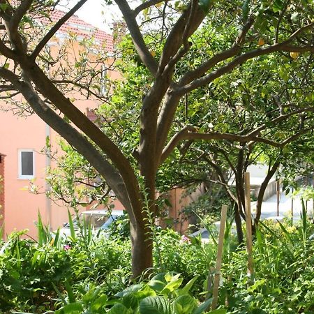 Apartment Podgora 518B المظهر الخارجي الصورة